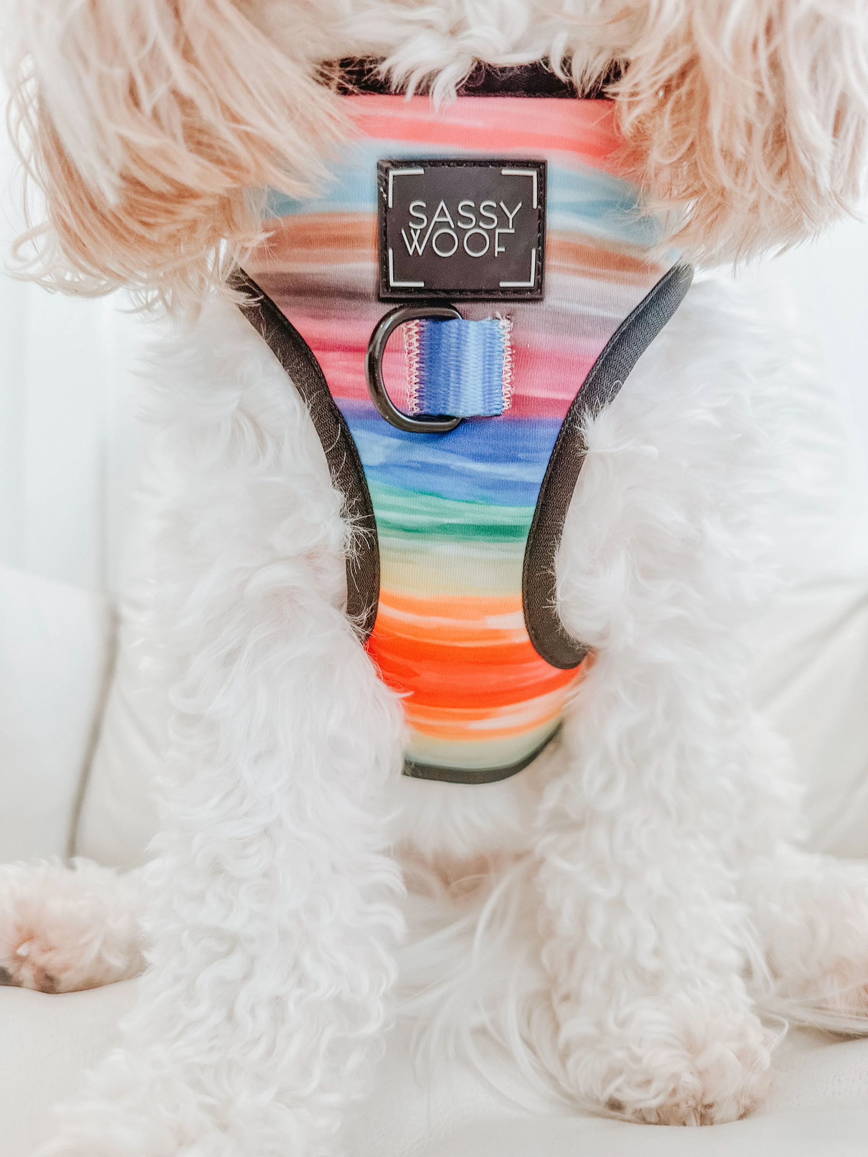 Dog Adjustable Harness - Love You Fur You