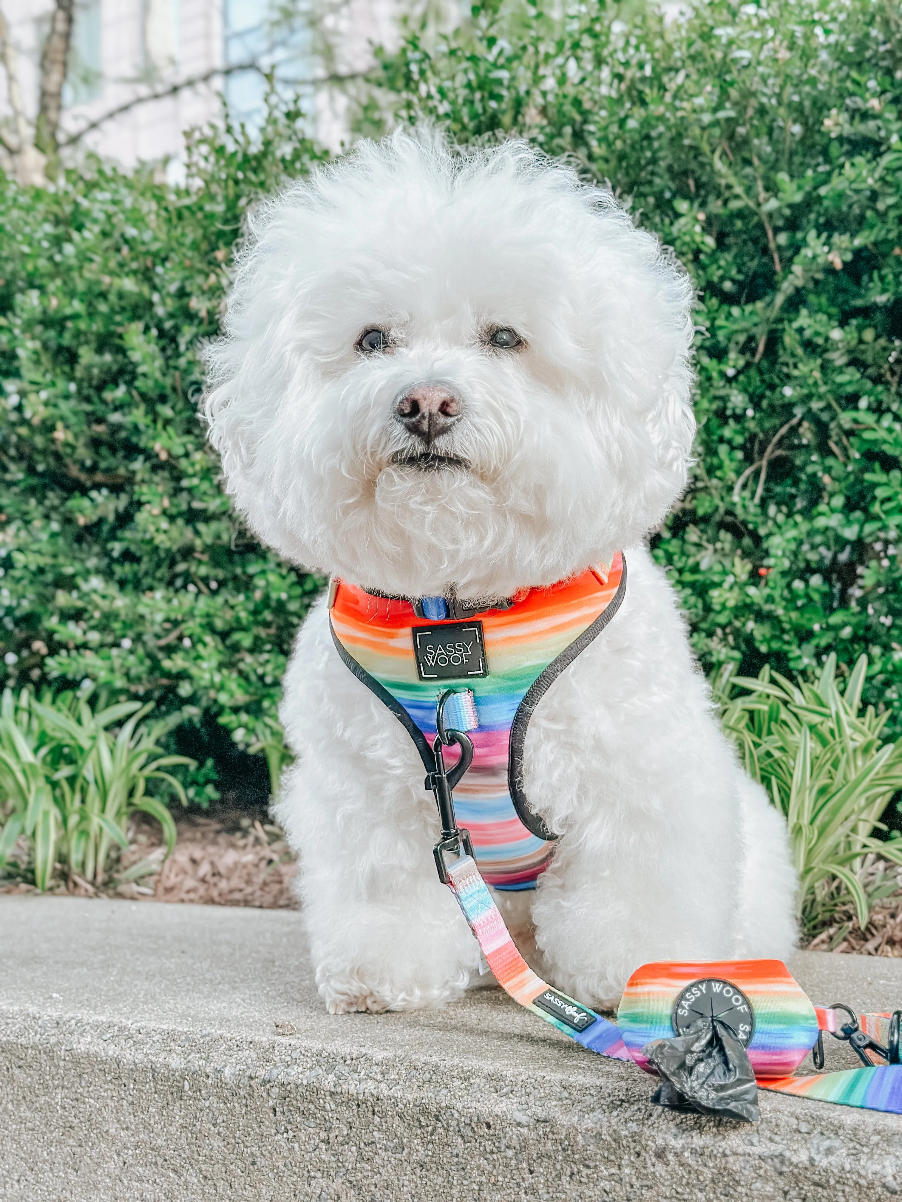Dog Adjustable Harness - Love You Fur You