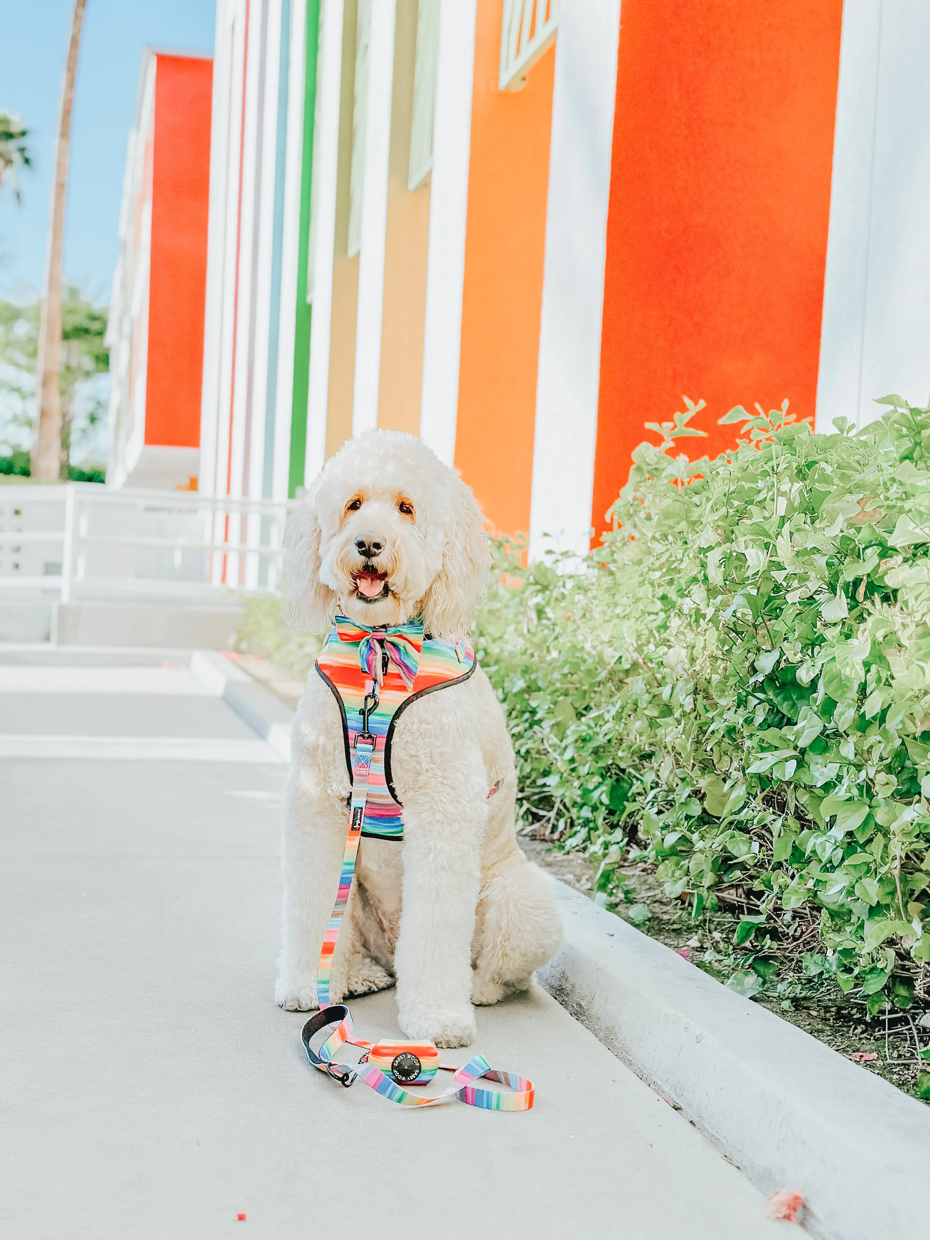 Dog Adjustable Harness - Love You Fur You