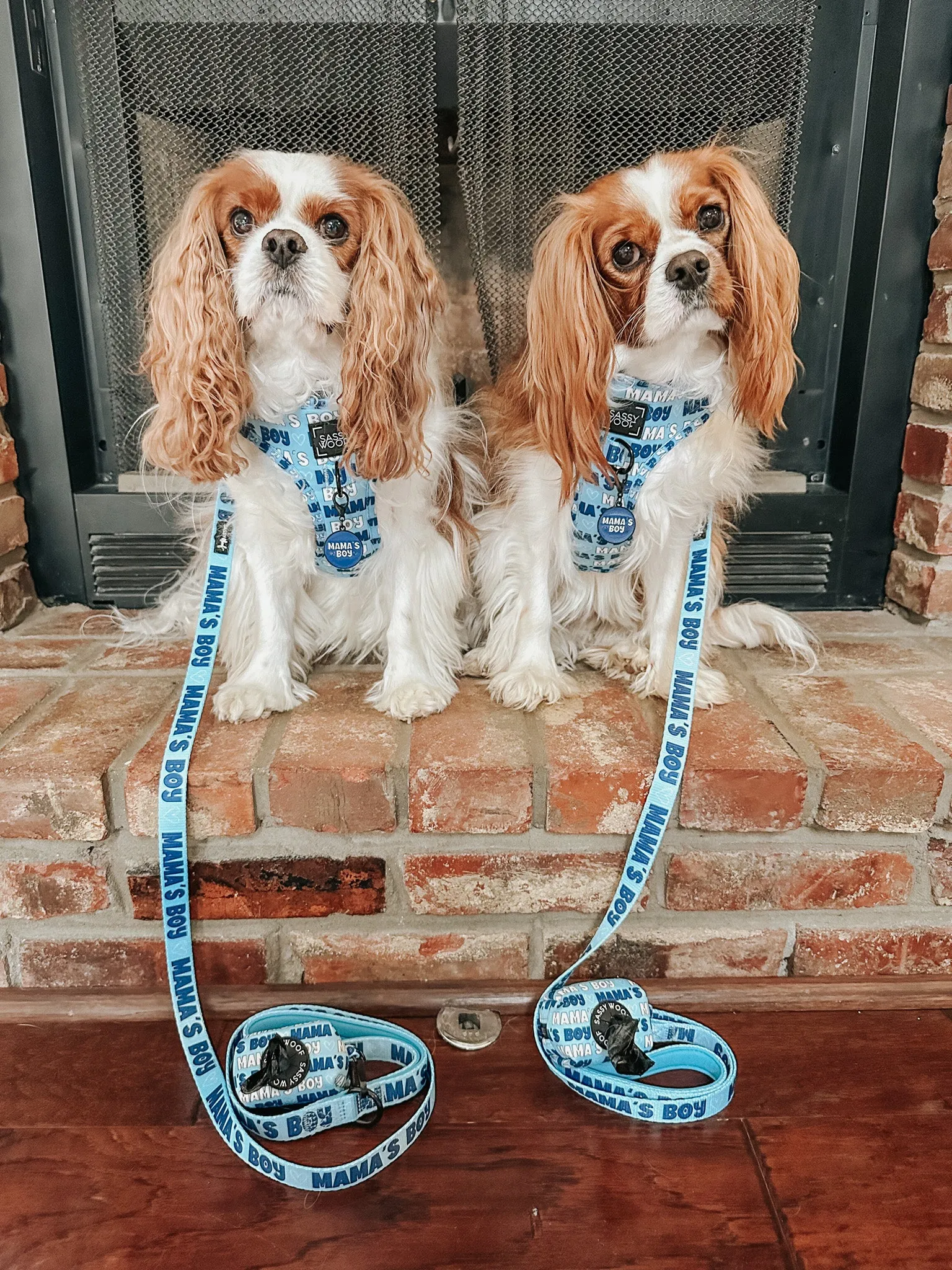 Dog Adjustable Harness - Mama's Boy