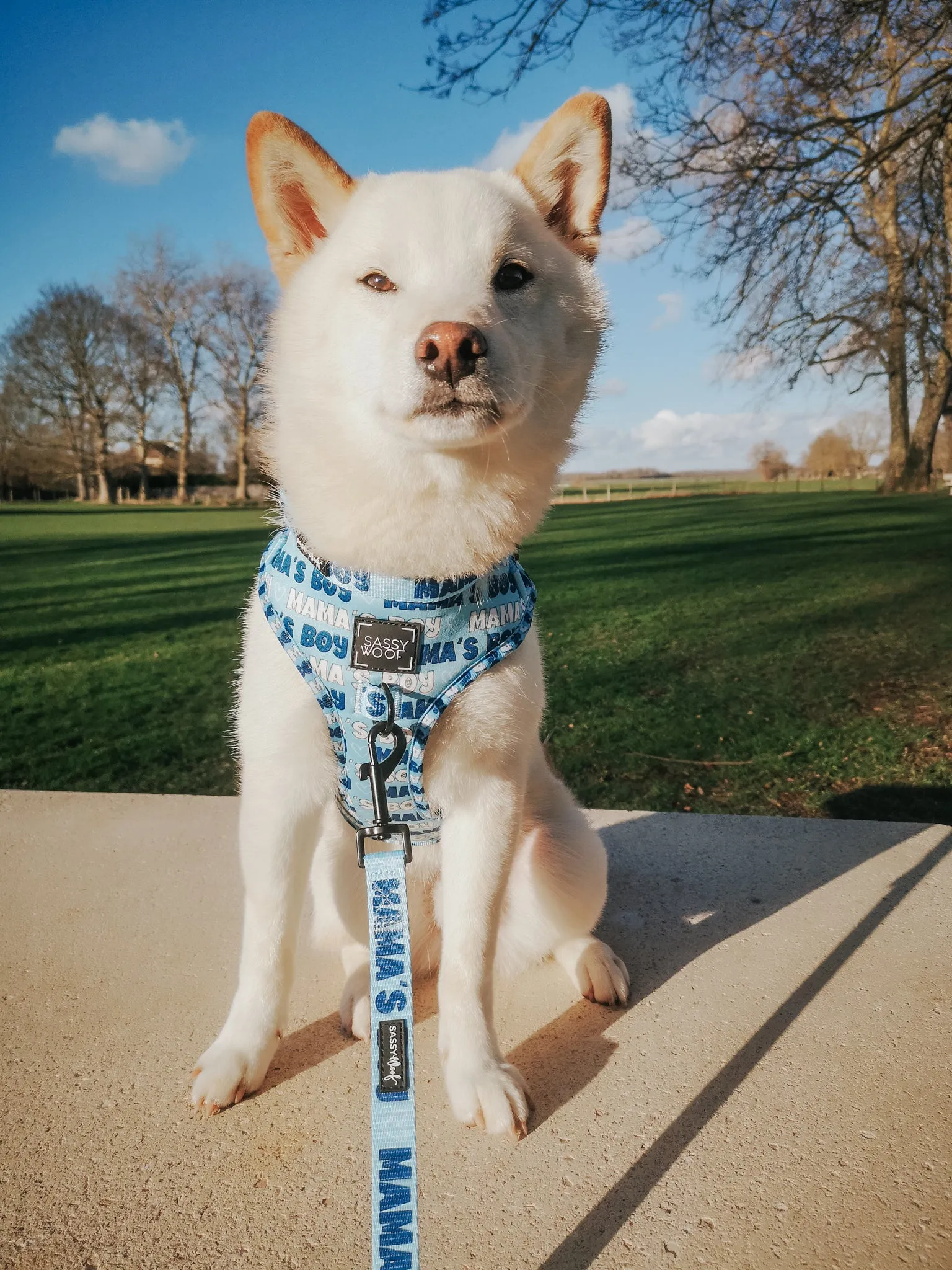Dog Adjustable Harness - Mama's Boy