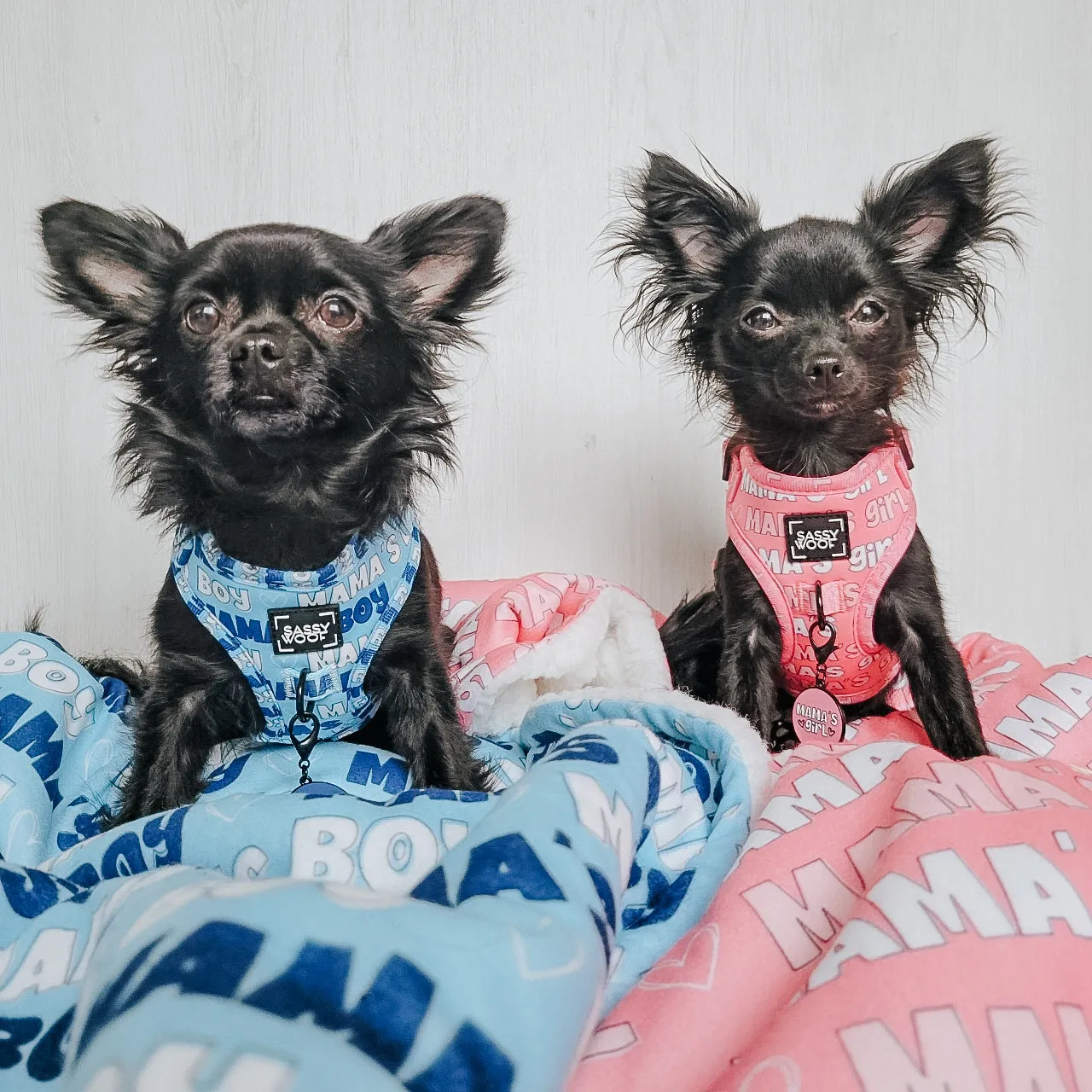 Dog Adjustable Harness - Mama's Boy