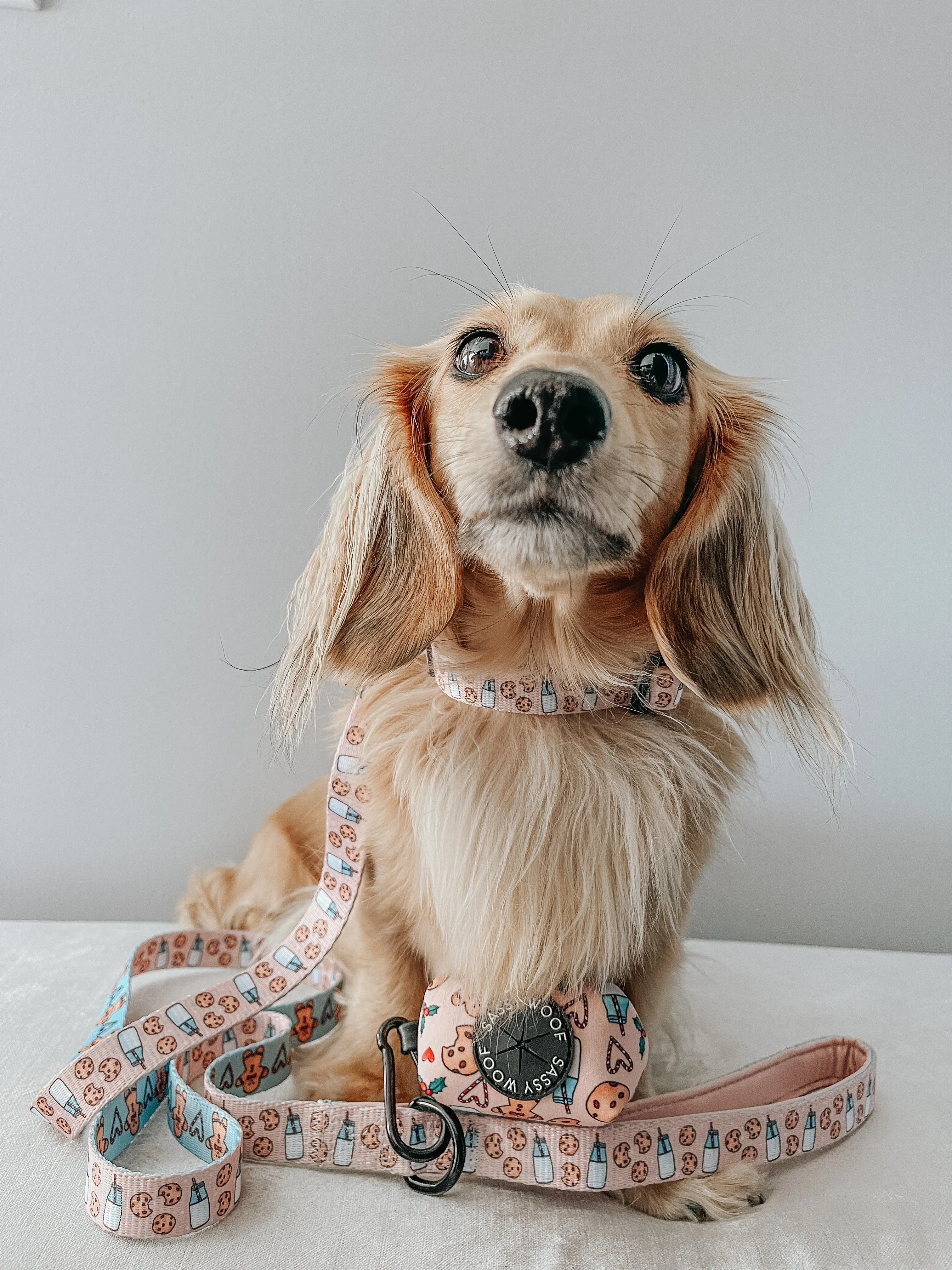 Dog Collar - Cookies Fur Santa