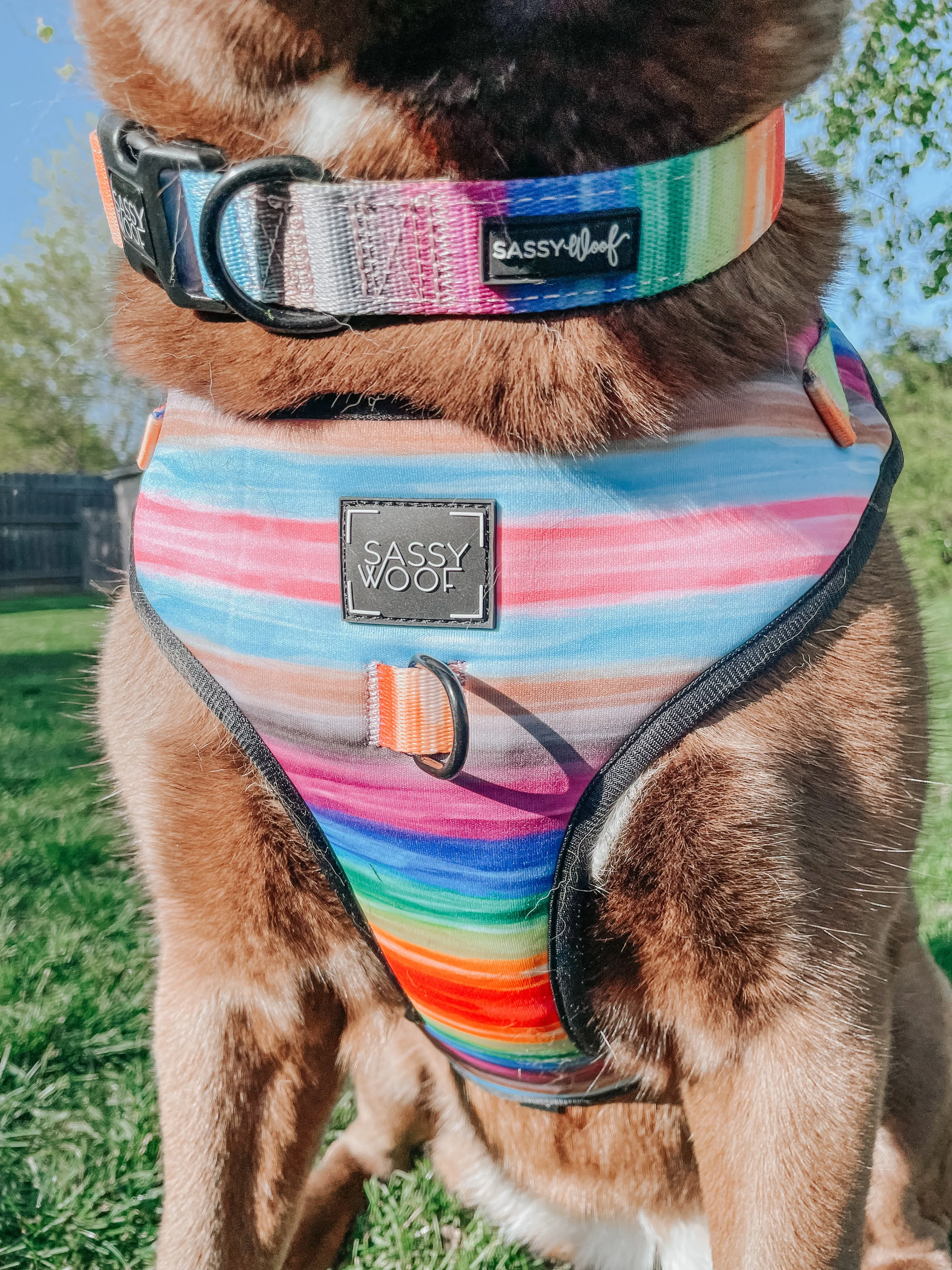 Dog Collar - Love You Fur You