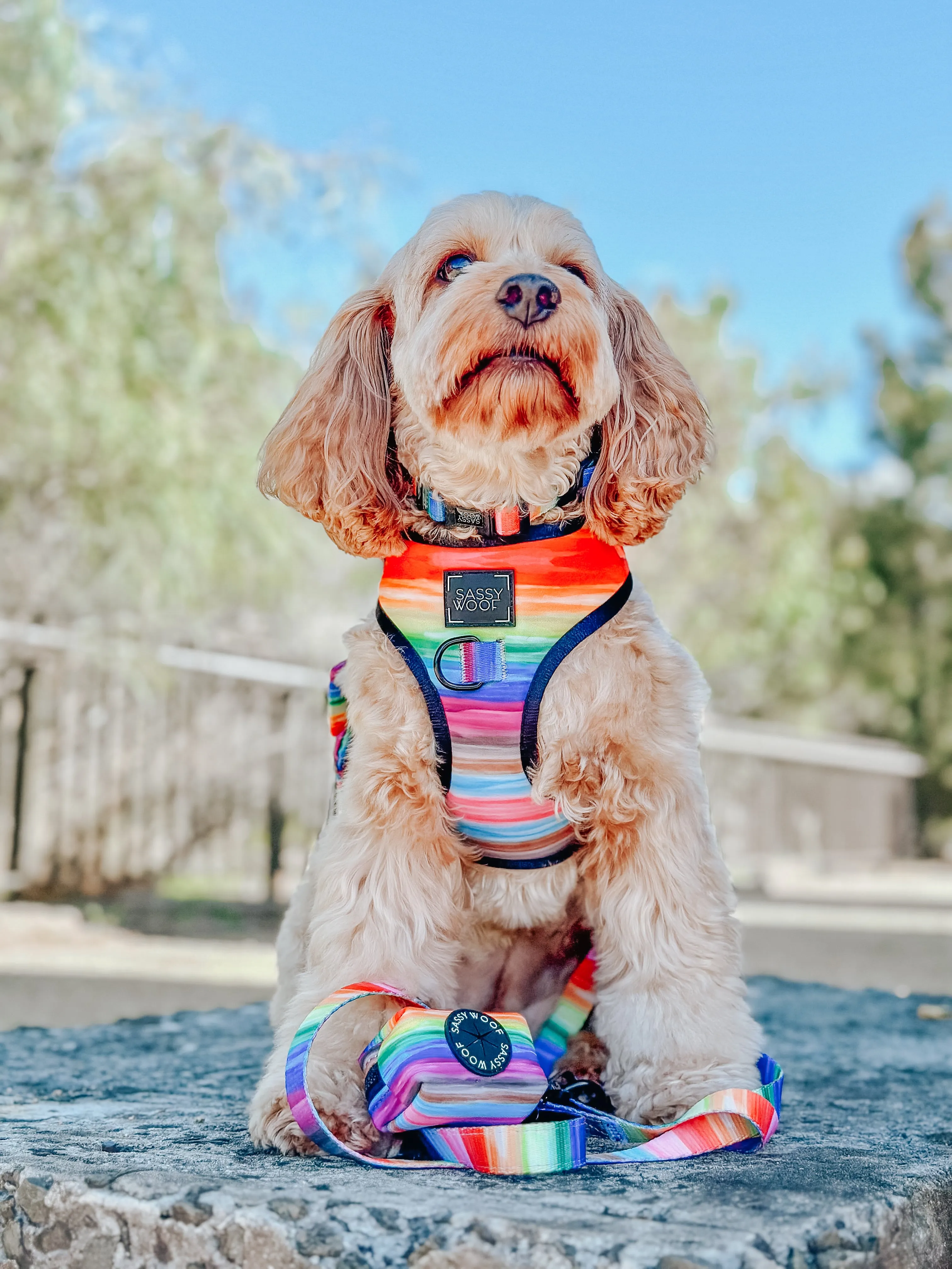 Dog Collar - Love You Fur You