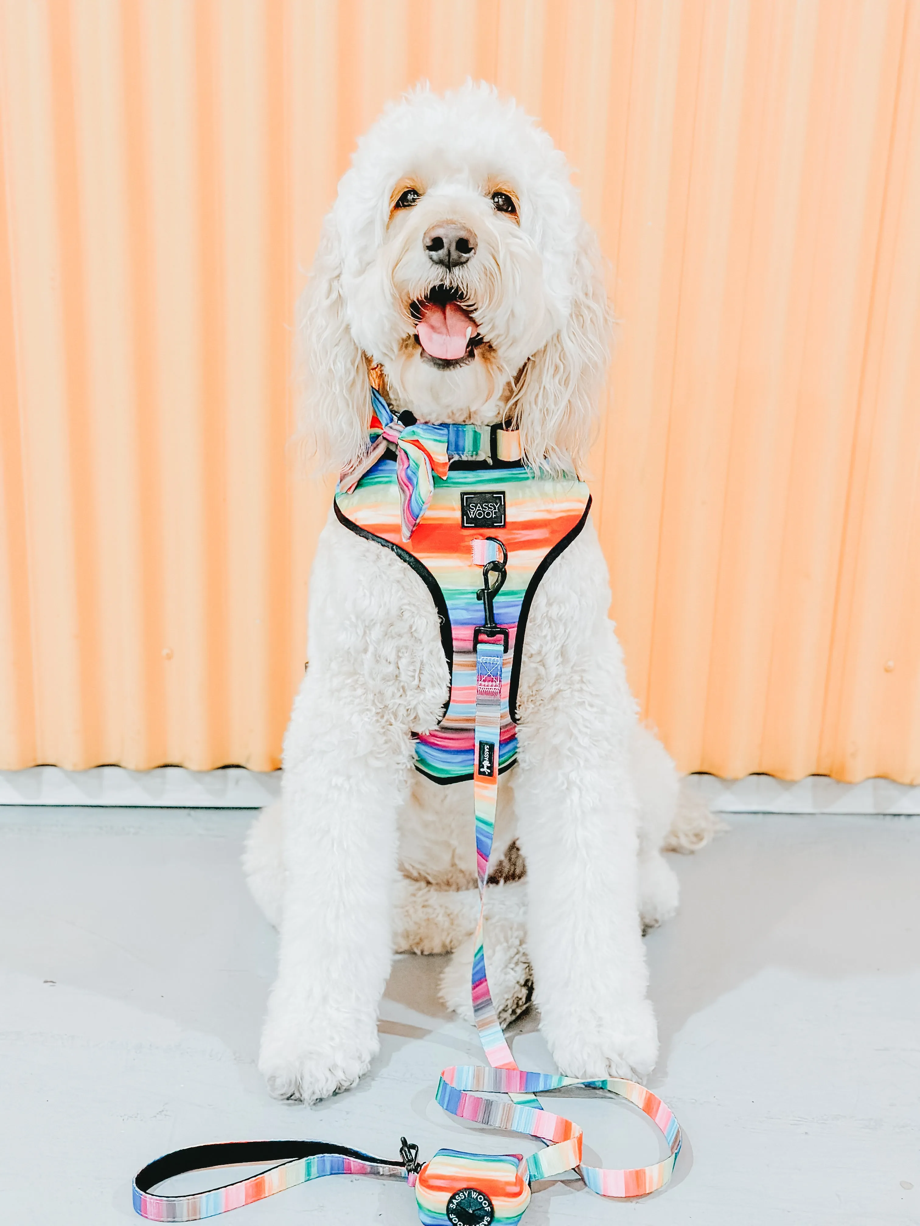 Dog Collar - Love You Fur You