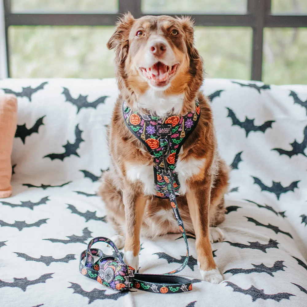 Dog Leash - Neon Frights