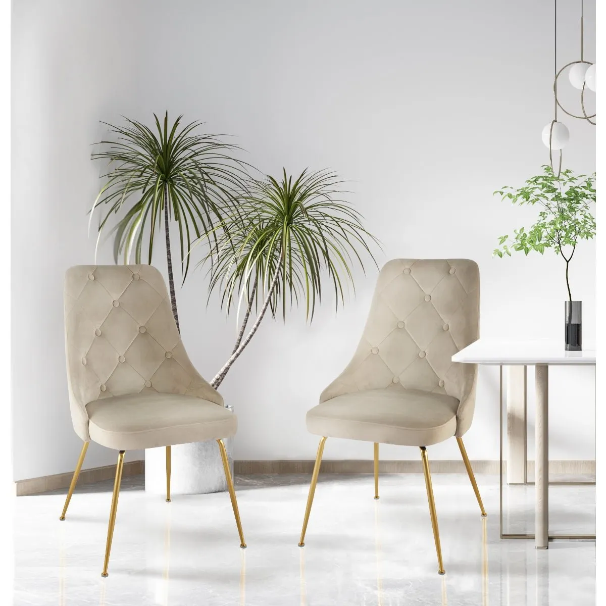 Plumeria Beige Velvet Chair with Gold Legs - Set of 2